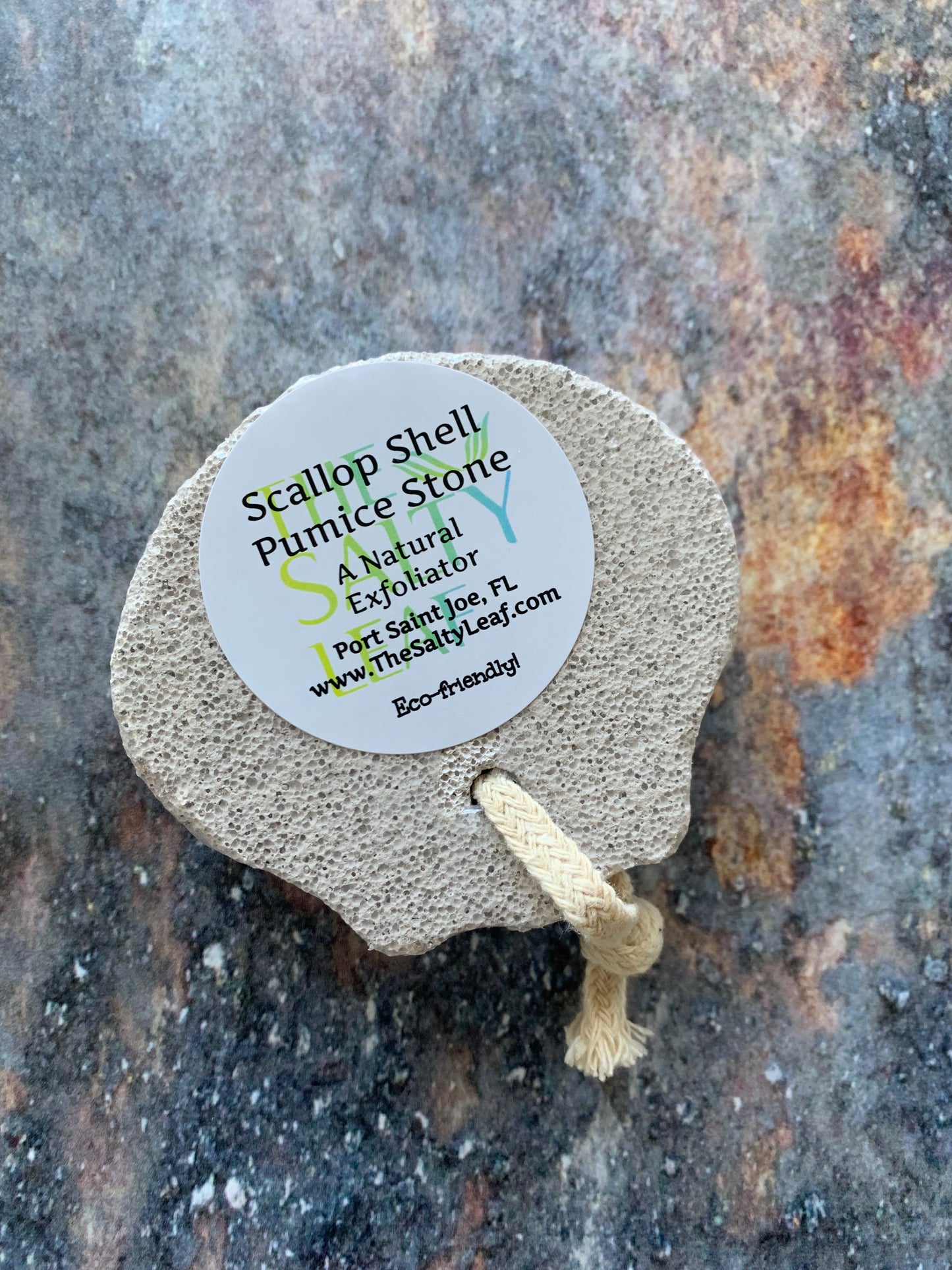 Scallop Shell Pumice Stone